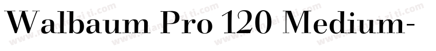 Walbaum Pro 120 Medium字体转换